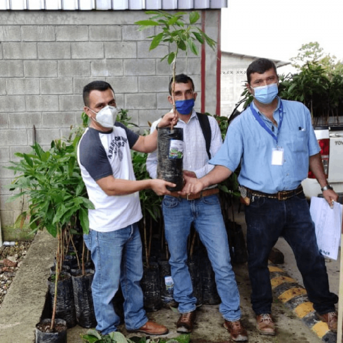 ambiental2